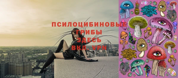 бутират Заводоуковск