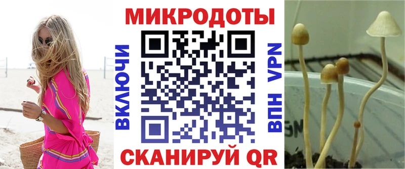 Купить  Калязин  Псилоцибиновые грибы Psilocybine cubensis 